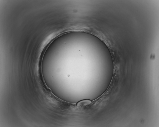 X0000101180340200807111120