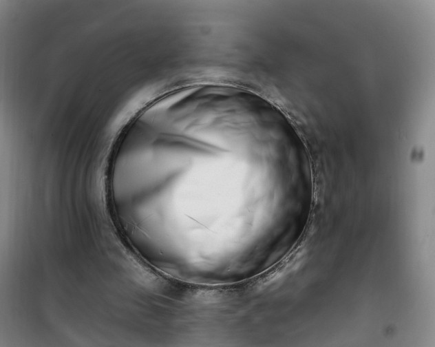 X0000101180341200807111120