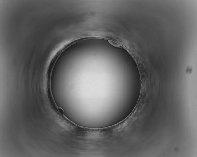 X0000101180342200807111120