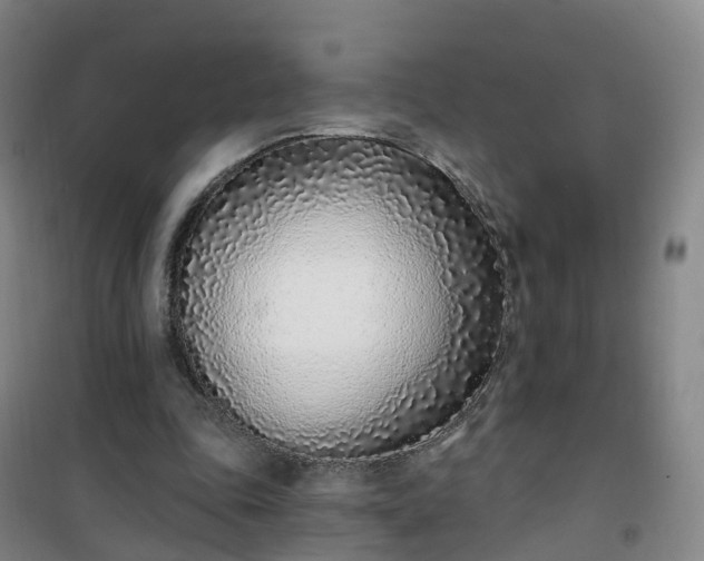 X0000101180343200807111120