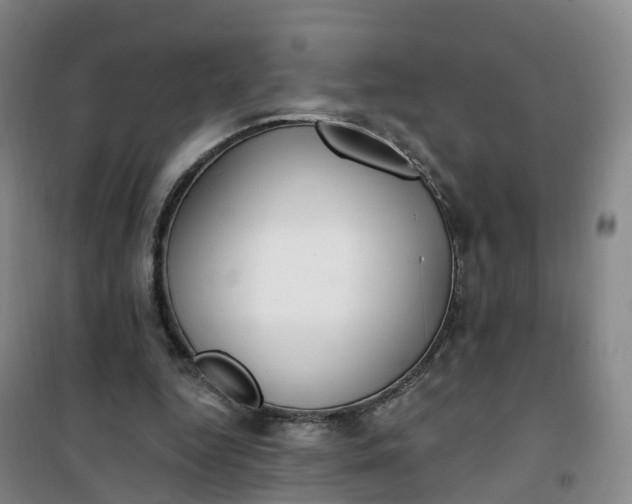 X0000101180344200807111120