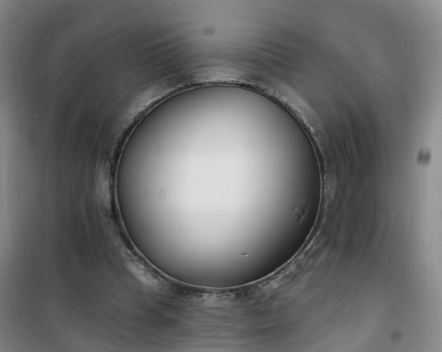 X0000101180345200807111120