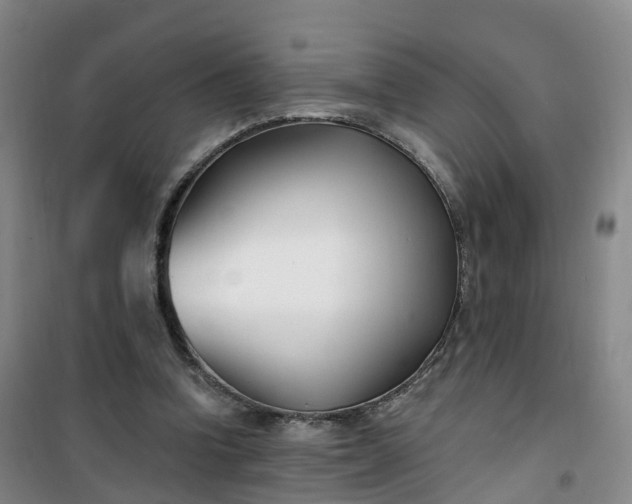 X0000101180346200807111120