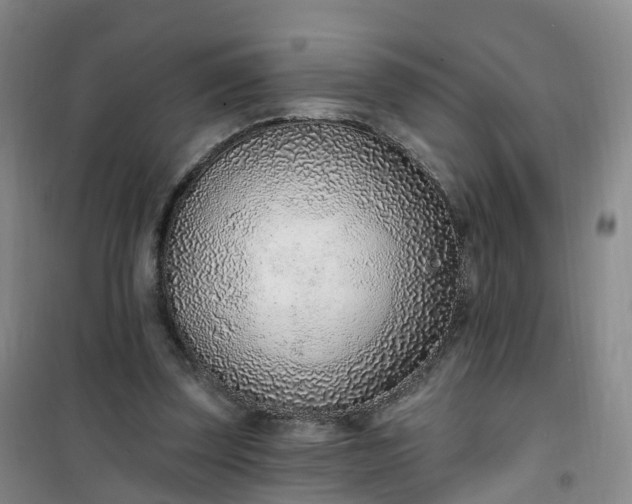 X0000101180347200807111120