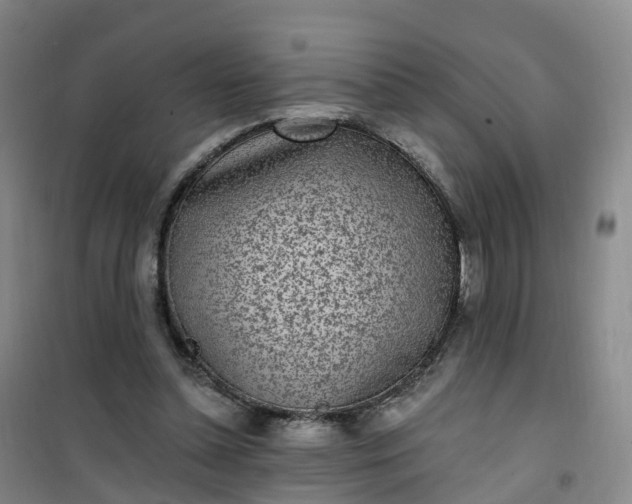 X0000101180348200807111120