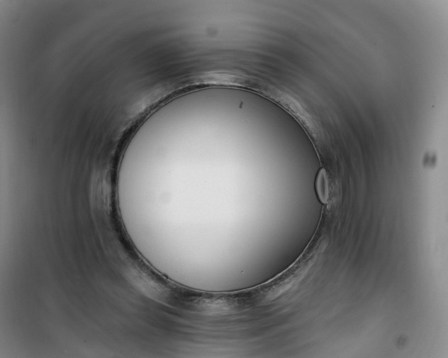 X0000101180349200807111120