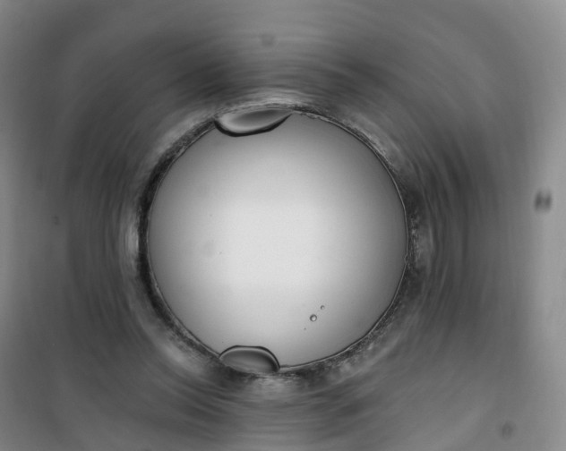 X0000101180350200807111120