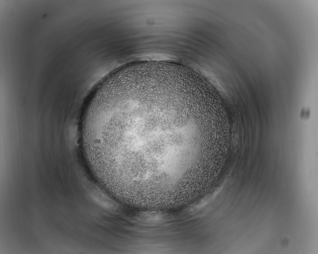 X0000101180351200807111121