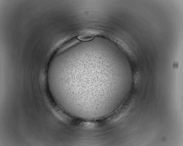 X0000101180352200807111121