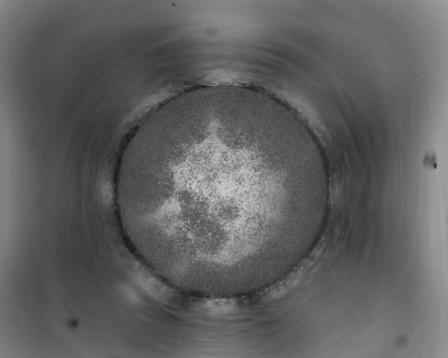 X0000101180353200807111121