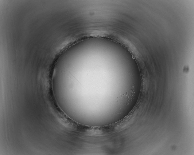 X0000101180354200807111121