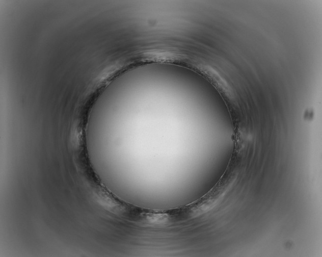 X0000101180355200807111121