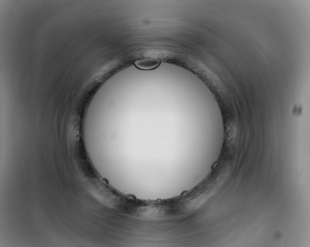 X0000101180356200807111121