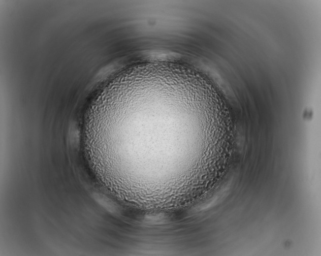 X0000101180357200807111121