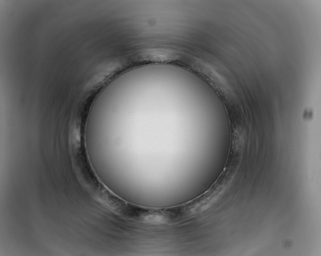 X0000101180358200807111121