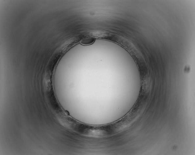 X0000101180360200807111121