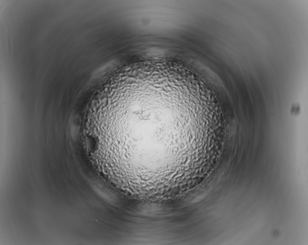 X0000101180361200807111121