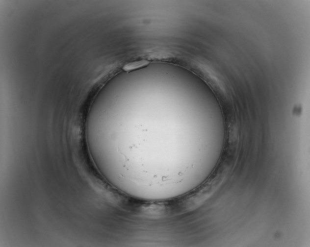 X0000101180362200807111121