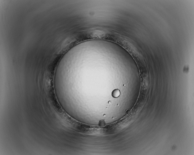 X0000101180363200807111121