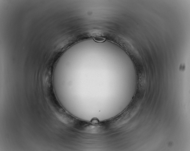 X0000101180364200807111121