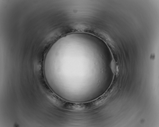 X0000101180365200807111121