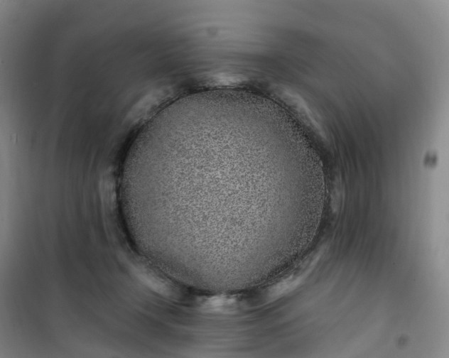 X0000101180366200807111121