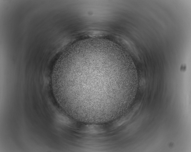 X0000101180367200807111121