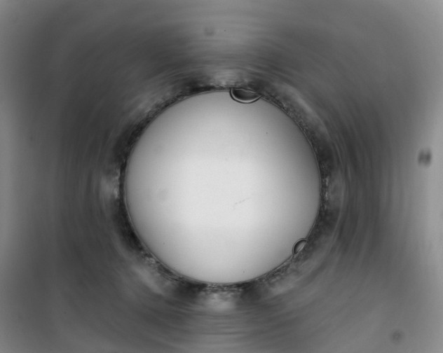 X0000101180368200807111121