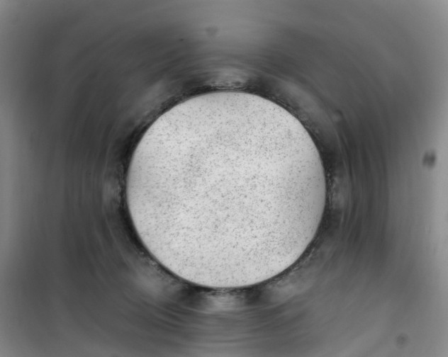 X0000101180370200807111121