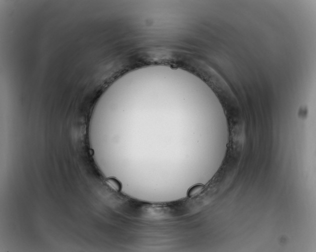 X0000101180372200807111121