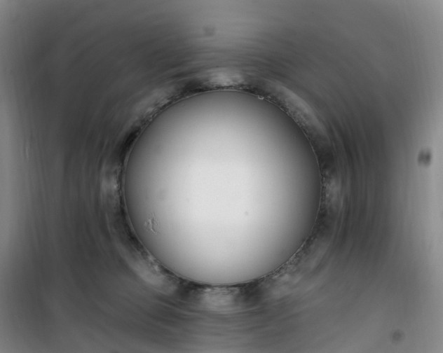 X0000101180373200807111121