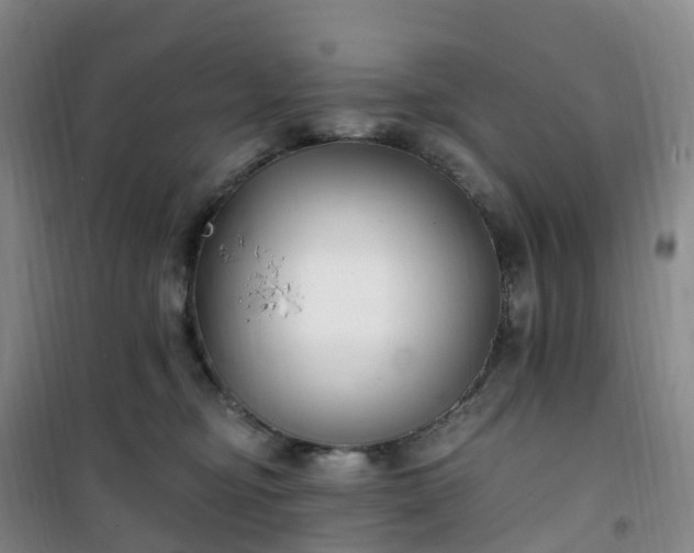 X0000101180374200807111121