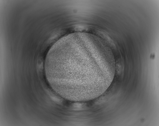 X0000101180375200807111121