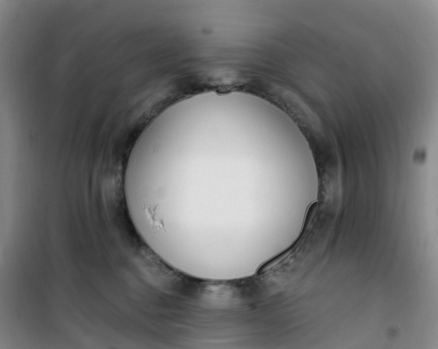 X0000101180376200807111121