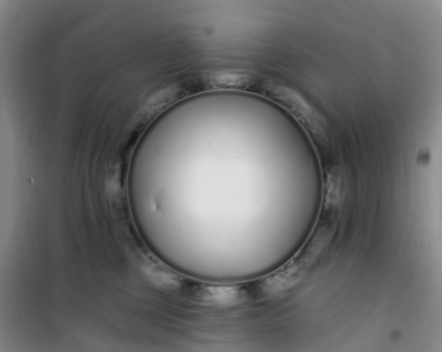 X0000101180377200807111121