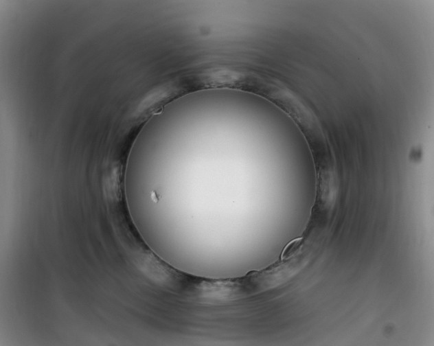 X0000101180378200807111121