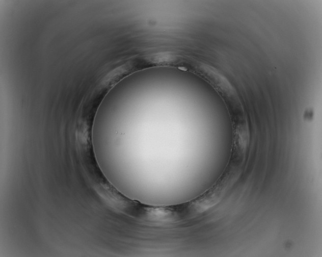 X0000101180380200807111121