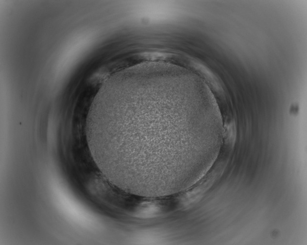 X0000101180381200807111121