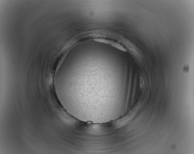 X0000101180382200807111121