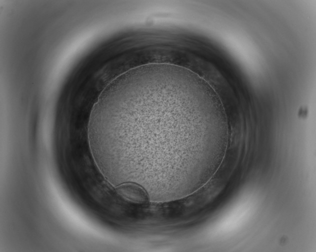 X0000101180383200807111121