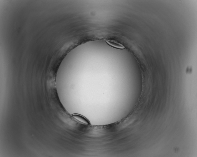 X0000101180384200807111121