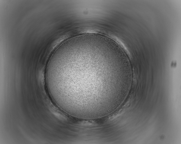 X0000101180386200807111120