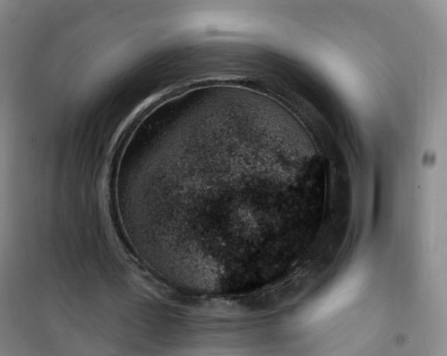 X0000101180387200807111120