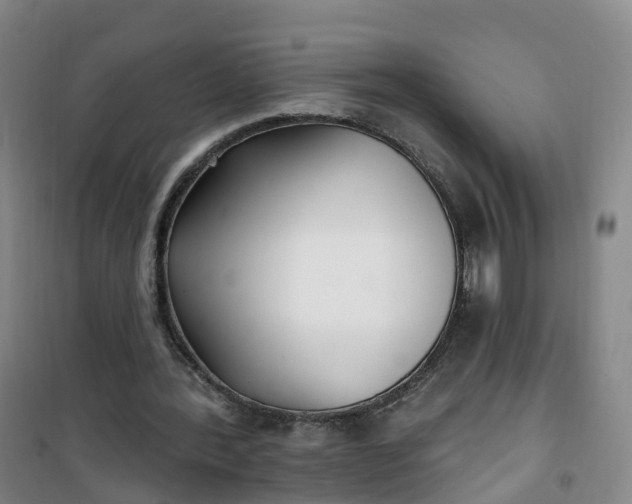 X0000101180388200807111120