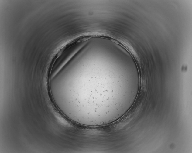 X0000101180389200807111120