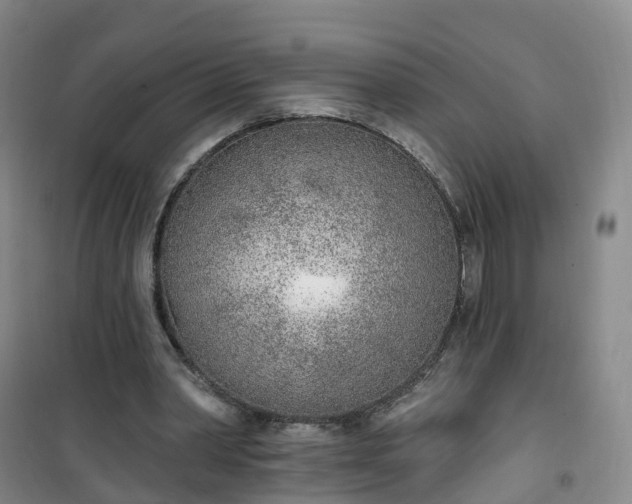 X0000101180390200807111120