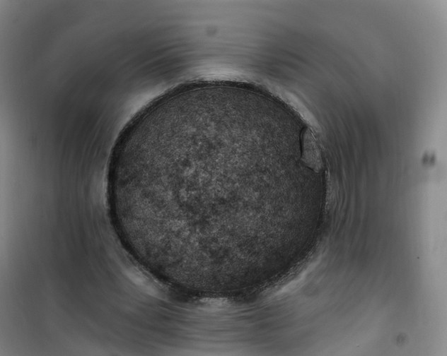 X0000101180391200807111120