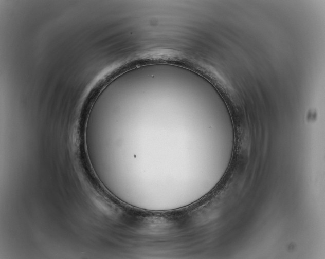 X0000101180392200807111120