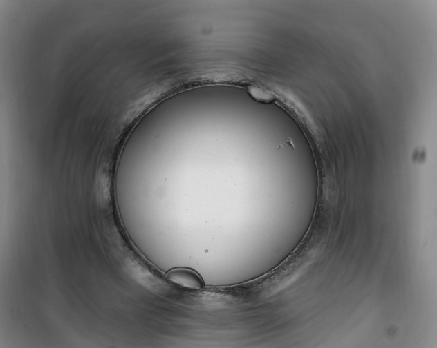 X0000101180393200807111120