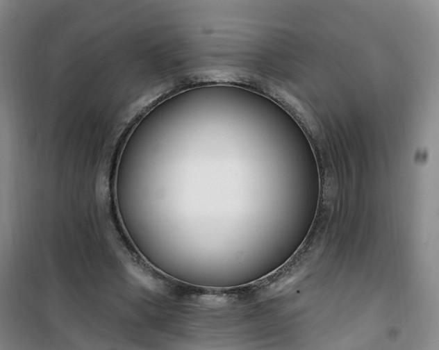 X0000101180394200807111120